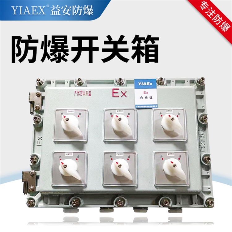 防爆开关箱 不锈钢防爆箱可定制