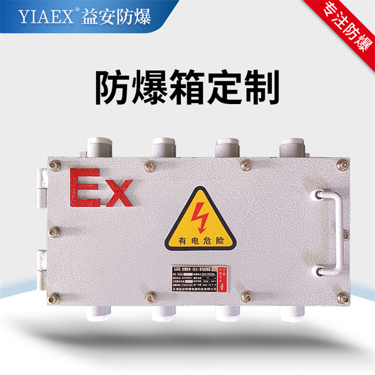 防爆箱定制 方便快捷效率高 支持定制