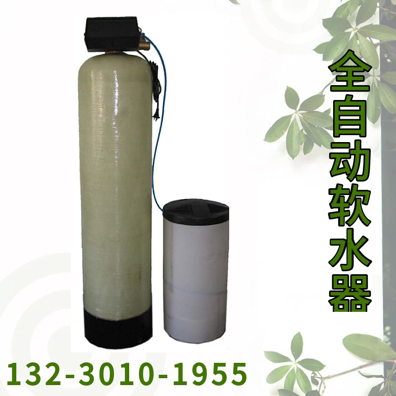 全自动钠离子交换器 ZQ250全自动软水器 除水垢泥沙软水机上海