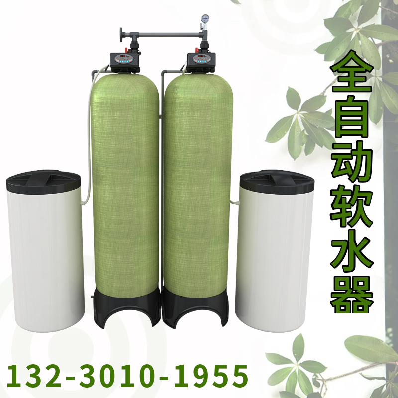 ZQ300全自动软水器 润新软化水装置  一体化全自动软水器 江苏
