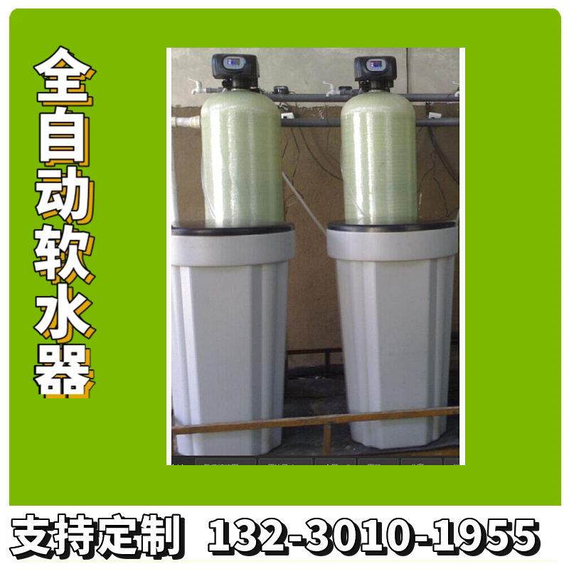 全自动软水器 地下水水处理过滤器  多功能全自动软水器三门峡