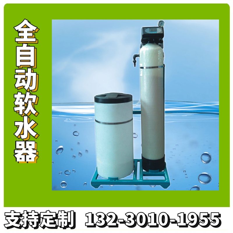 全自动钠离子交换器 1吨全自动软水器  锅炉除水垢设备黄石