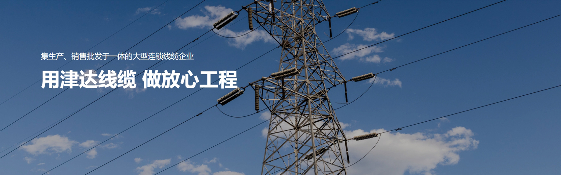 天津市津达电线电缆销售有限公司