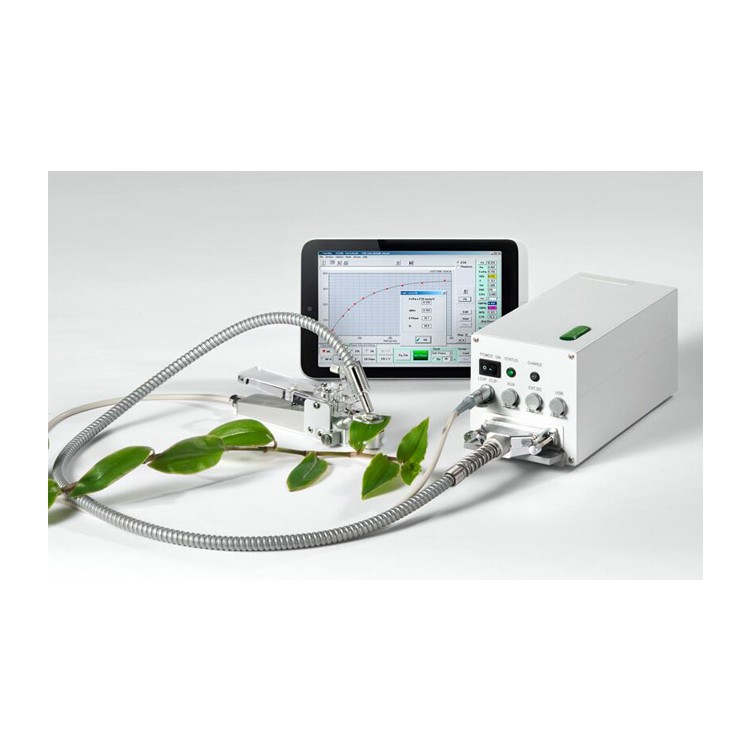 德国WALZ PAM-2500便携式调制叶绿素荧光仪荧光测试仪