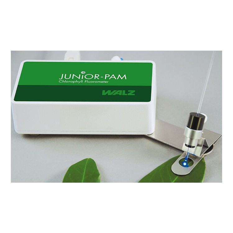 德国WALZ JUNIOR-PAM 教学叶绿素荧光计植物荧光测量仪
