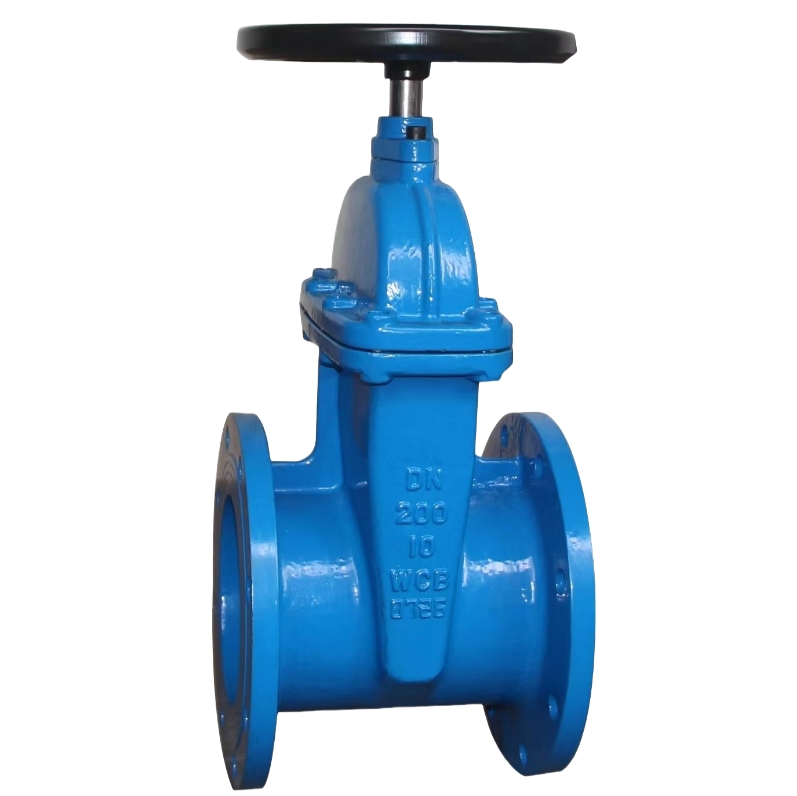 埃维柯阀门闸阀 埃维柯产防盗闸阀