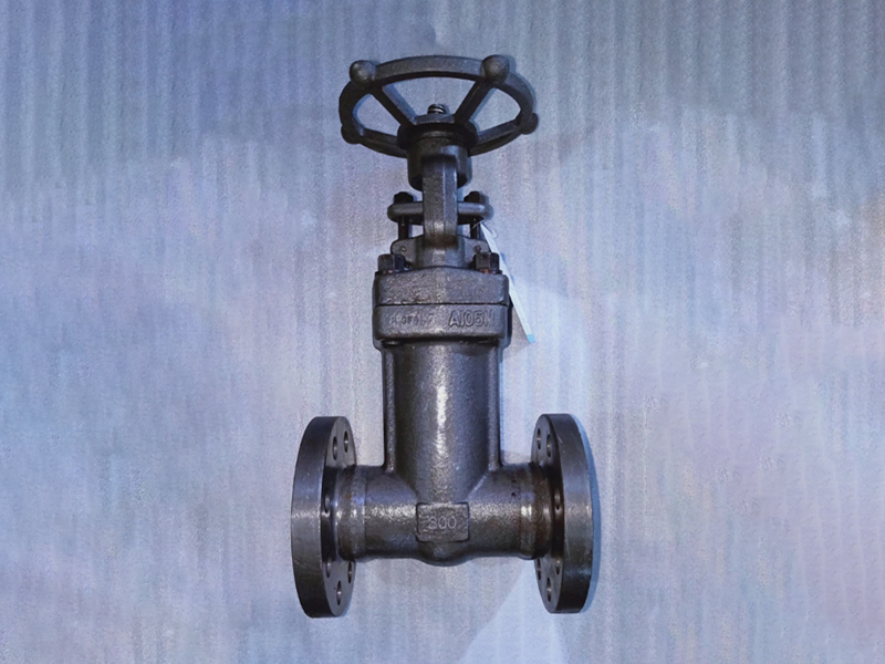 锻钢波纹管截止阀全国售卖