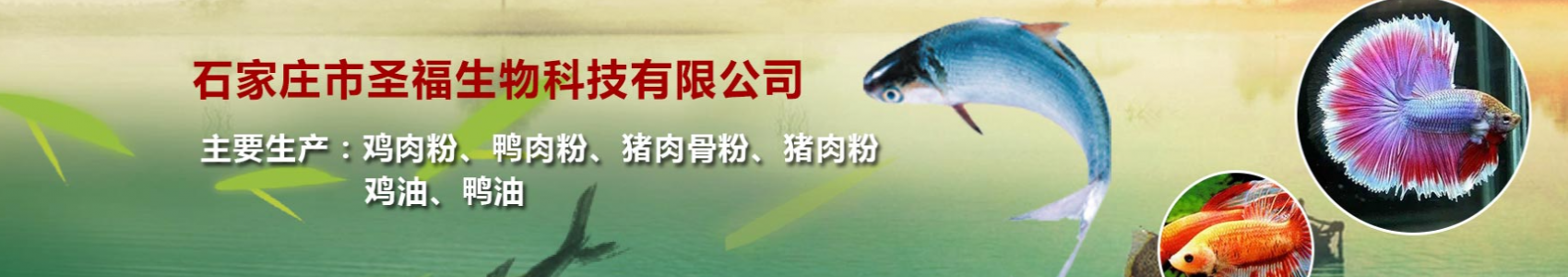 石家庄市圣福生物科技有限公司