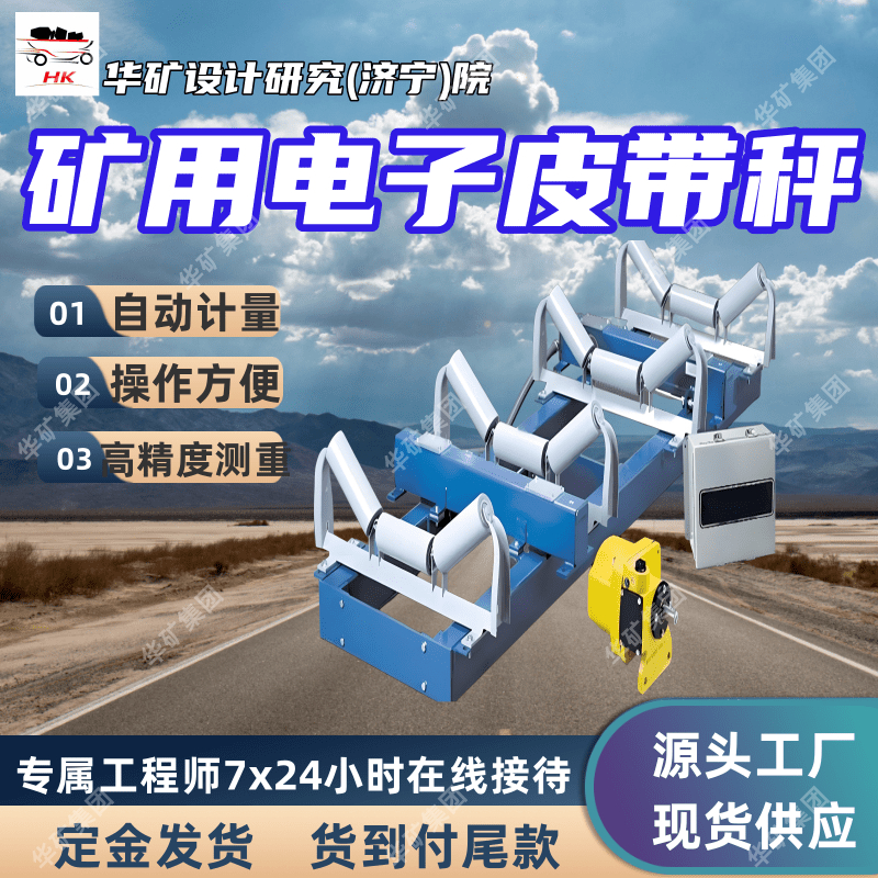 支持订购矿用电子皮带秤 适用性强电子皮带秤 ICS-HF-2电子皮带秤