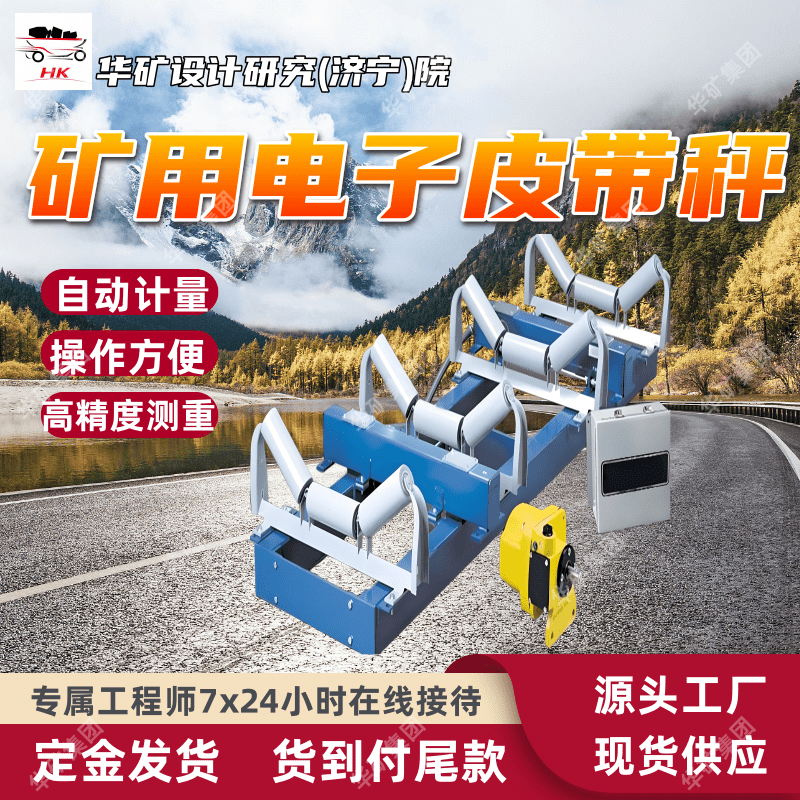 高精度矩阵式皮带秤  调节灵活矿用称重皮带秤 ICS20称重皮带秤