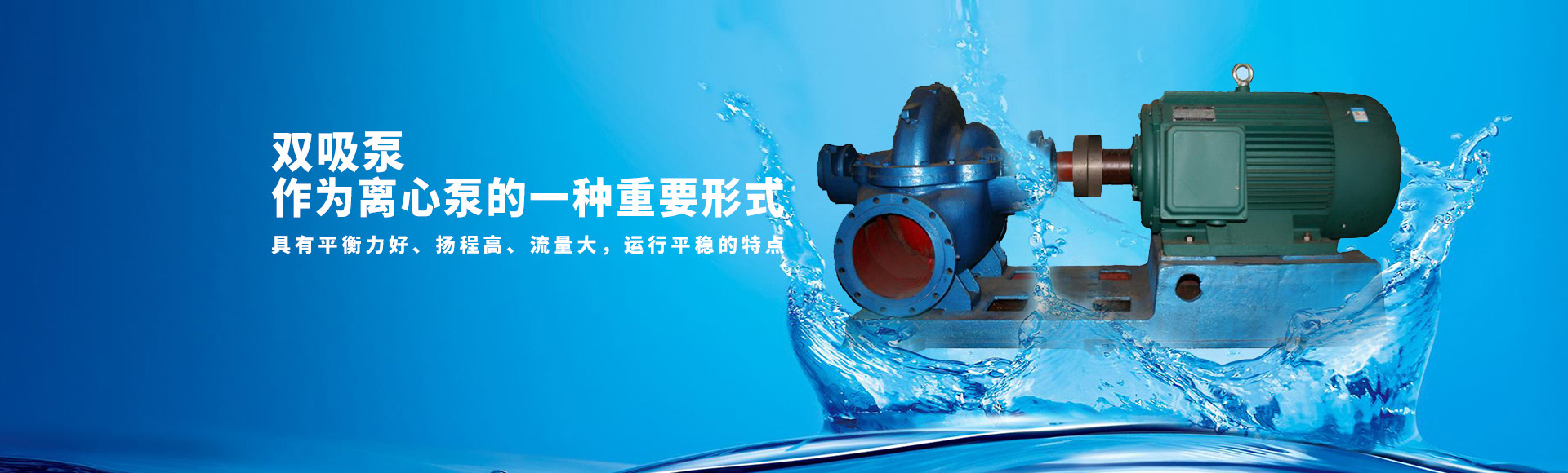 山东泰安泰山泵业制造有限公司