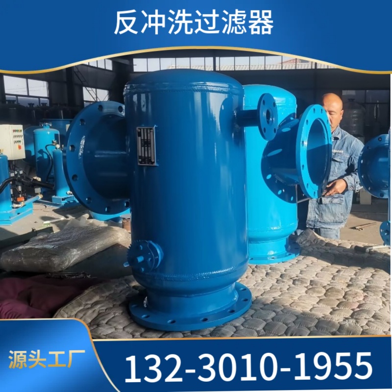 多滤筒反冲洗过滤器 反冲洗过滤设备 地表水反冲洗除污器浙江