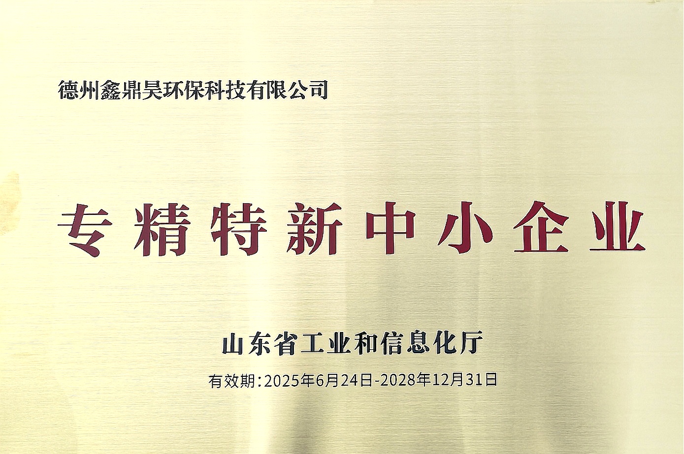 专精特新中小企业 (1)