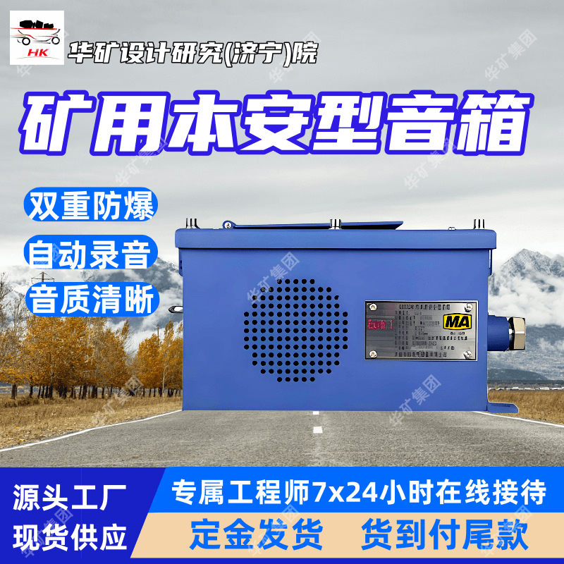 矿用隔爆兼本安型音箱 体积小易安装 KXY127矿用隔爆兼本安型音箱