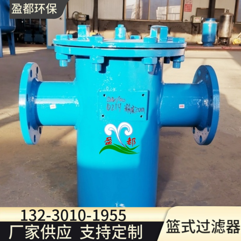 法兰式篮式过滤器 直通平底篮式过滤器 法兰毛发收集器温州