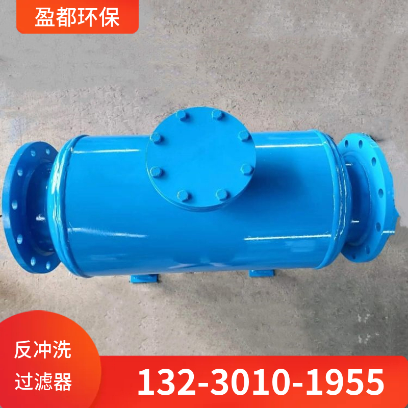 换热站除污设备 碳钢反冲洗过滤器 快速排污过滤设备徐州