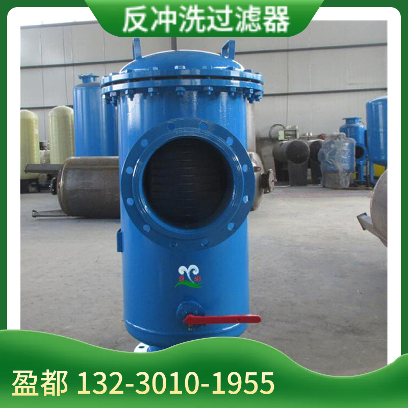 直通式除污设备 一次网除污设备 全自动反冲洗除污器广州