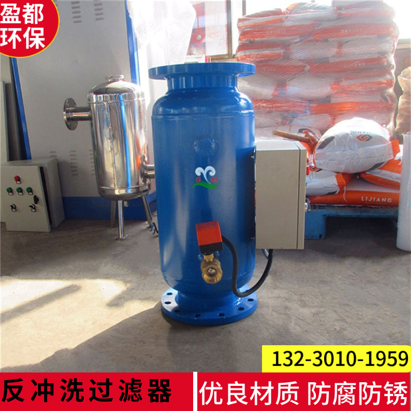 立式自动反冲洗除污器 一次网除污设备    净化水质广西