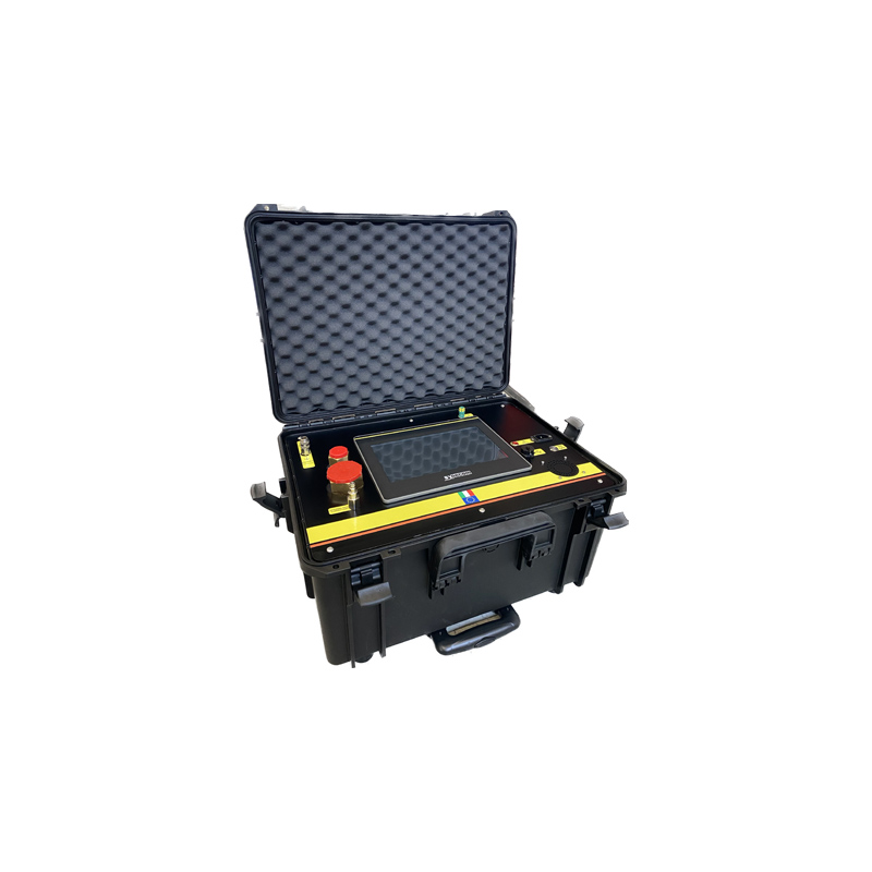 意大利synecom ALY101-05 SF6分析仪六氟化硫分析仪