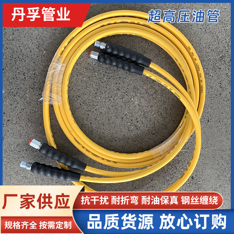 丹孚高压耐磨液压软管总成 DN6超高压树脂软管 高压双联管