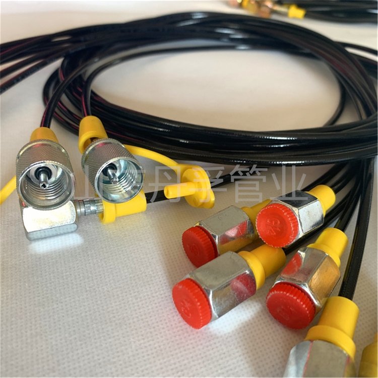 丹孚管业 高压测压管线 630bar 树脂管工程机械压力测试