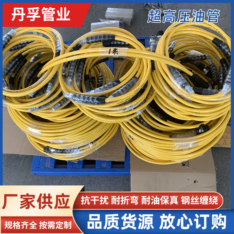 丹孚 螺栓拉伸器液压油管定制 超高压尼龙树脂软管总成 来电咨询