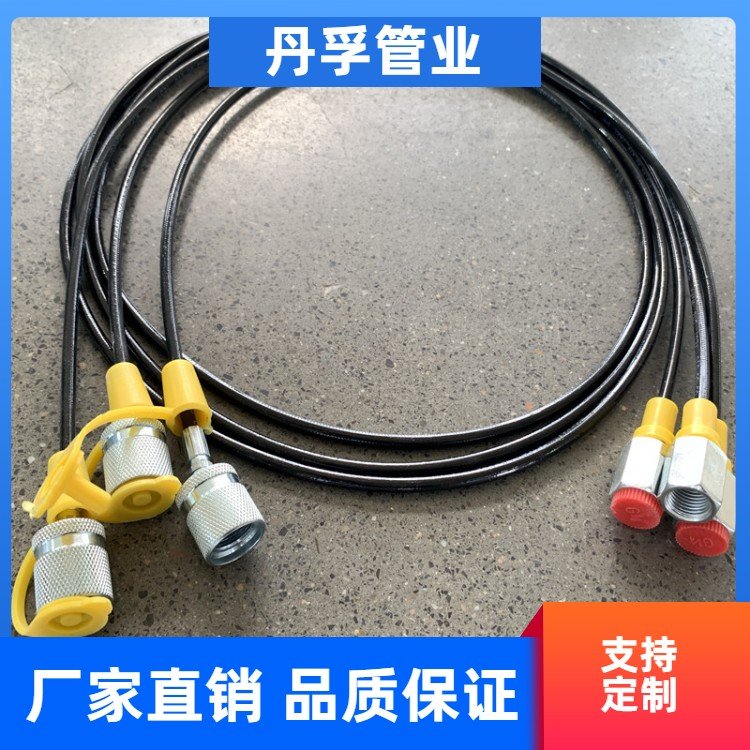 丹孚生产厂家超高压软管 测压软管 雾面树脂管 DN2 63mpa压力表线