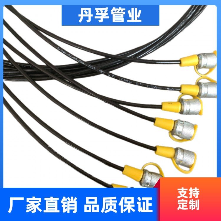 丹孚高压软管 测压软管 雾面树脂管 63MPA 化工管道用 厂家供应