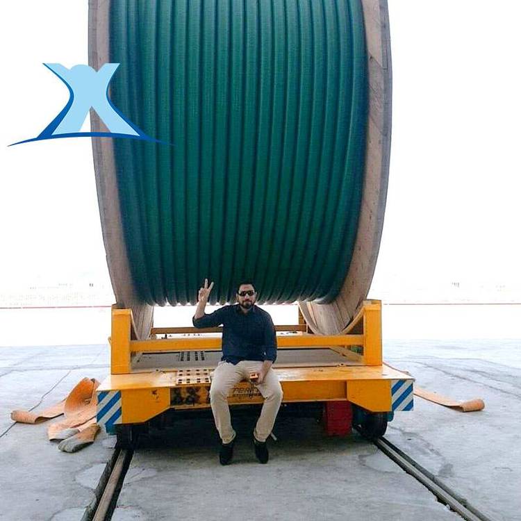 地轨车重物移位器 遥控轨道平车 电动直线轨道运输车