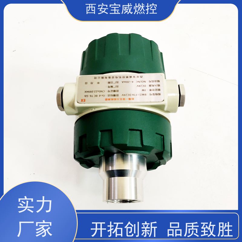 燃气工业炉膛火焰检测器  防爆一体化火焰检测器