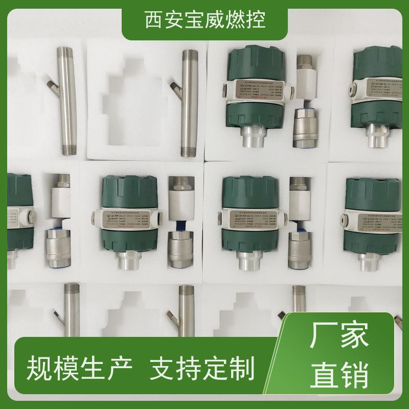 工业锅炉火焰检测器   双输出可视化火焰检测器