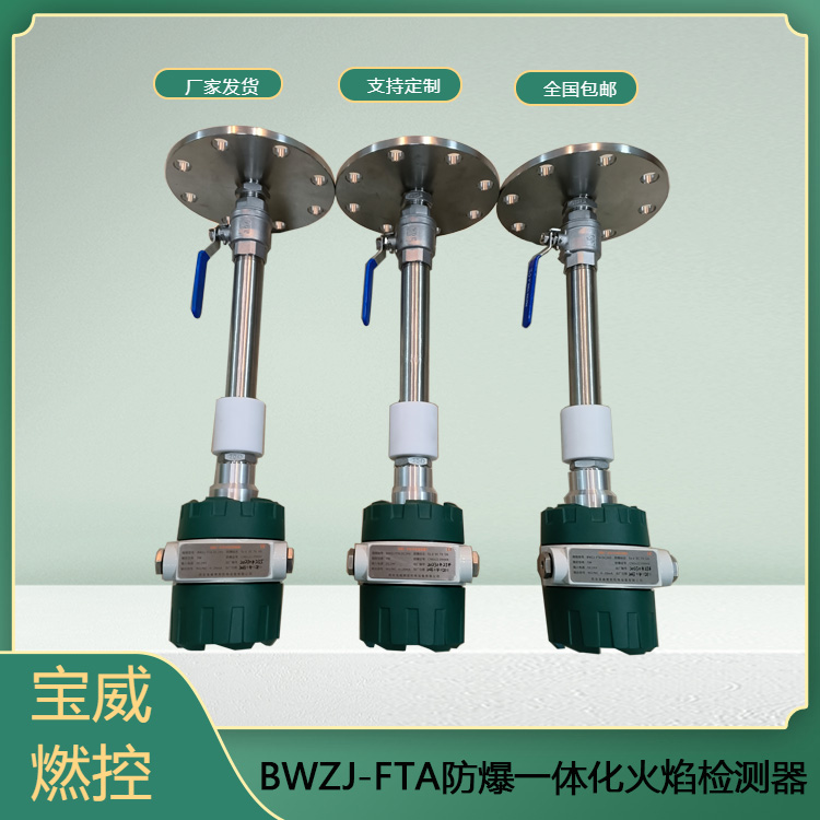 BWZJ-FTA DC24V防爆一体化火焰检测器  定制法兰安装